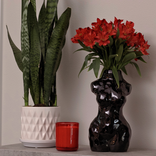 A decorative shelf featuring a glossy black ceramic vase shaped like a woman's torso holding red flowers. The vase sits on the shelf next to a potted plant and a red candle.